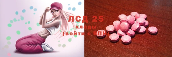 mdpv Каменка