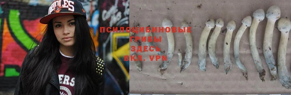прущая мука Каменногорск