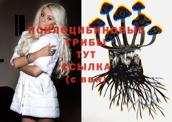 шишки Каменск-Шахтинский